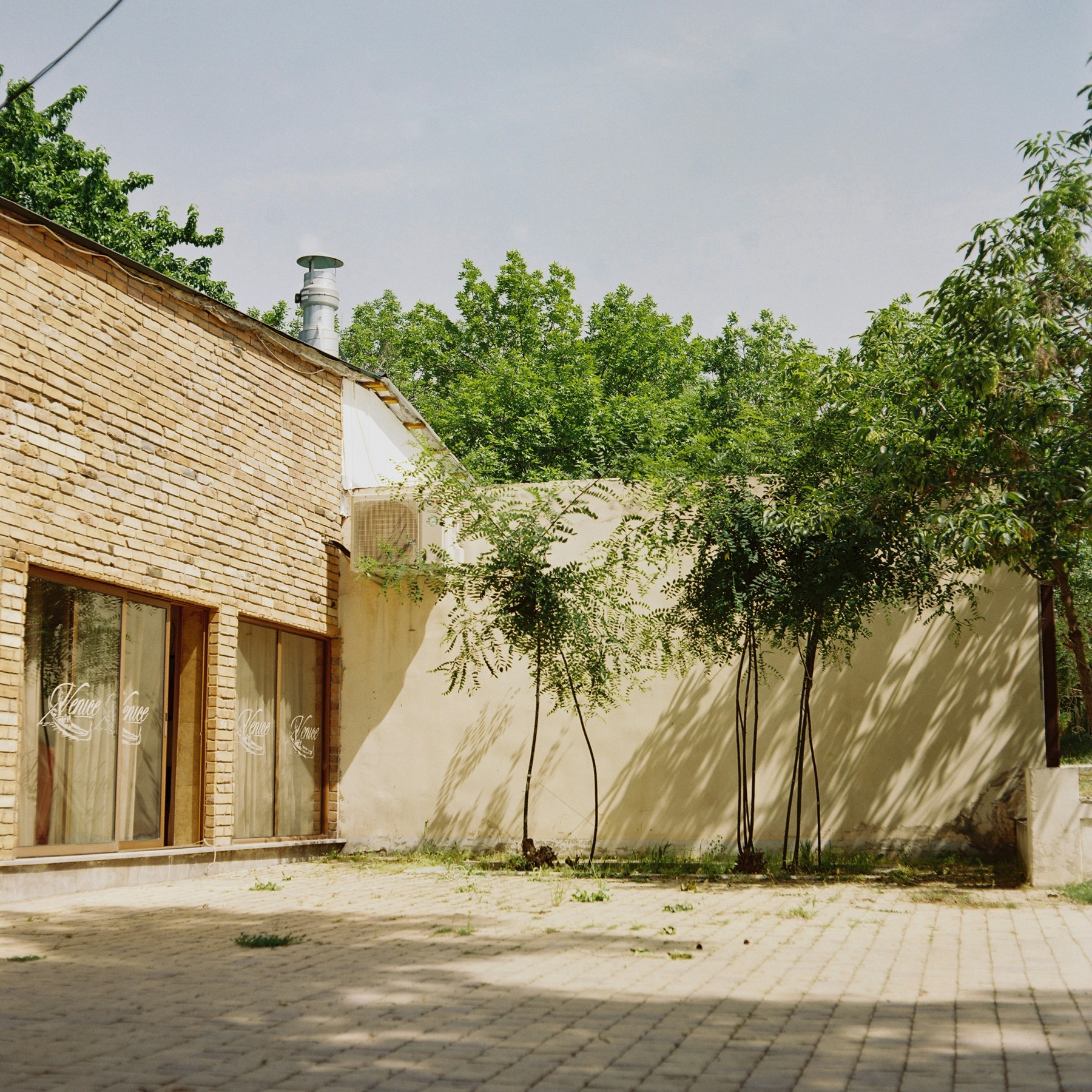 Quiet leafy courtyard framed by pale brick walls in Yerevan